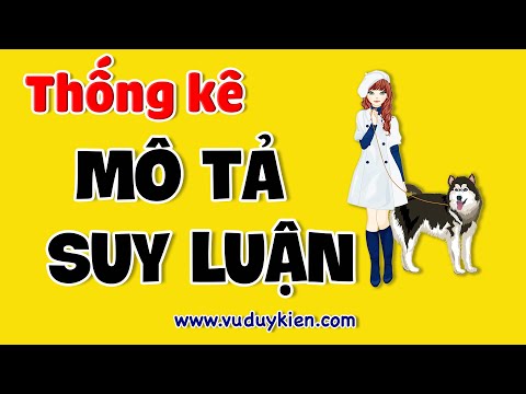 Video: Tại sao thống kê mô tả và suy luận lại quan trọng?