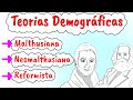 Quiz sobre Teorias Demográficas