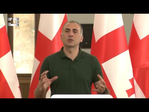 არ მინდა საქმე სანქციებამდე მივიდეს - „ოცნების\" ლიდერები კი არა, ქვეყანა მენანება - ელისაშვილი