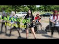 Ladybird girl / the pillows 【AI cover】