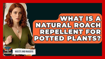 What Is A Natural Roach Repellent For Potted Plants? | Insects and Invaders