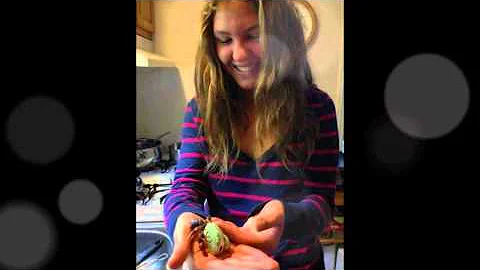 In Memory Of Sarah Esposito