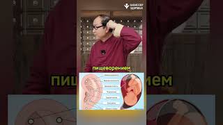 МАССАЖ УШЕЙ – ПУЛЬТ К ЗДОРОВЬЮ #shortvideo #shortvideo#shorts