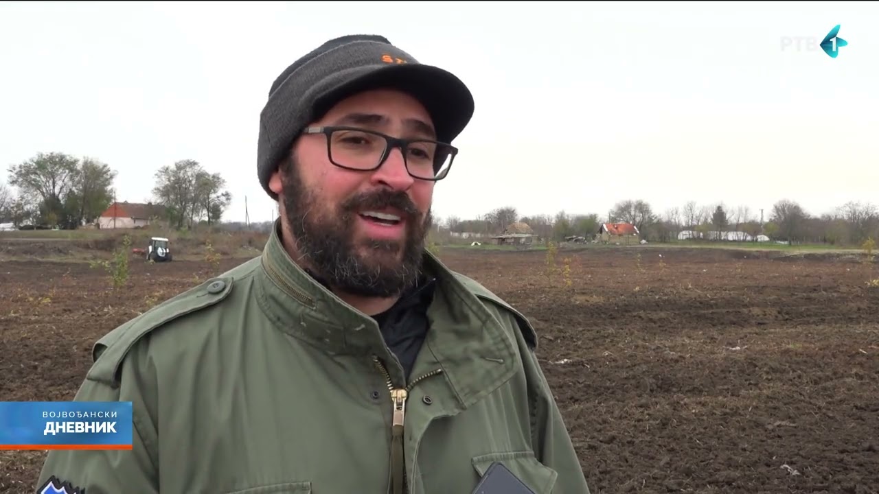 Kikinda polako menja svoj zeleni izgled - 30.000 stabala za tri godine