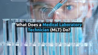 What does a Medical Laboratory Technician do?