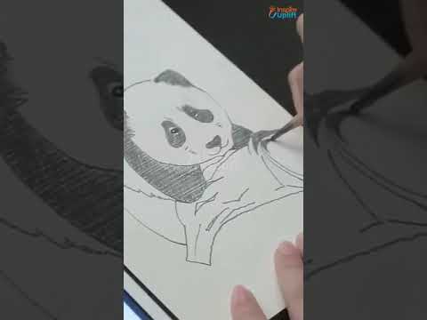 Masterpiece Optical Drawing