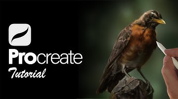 How To Paint REALISTIC Birds on iPad | PROCREATE TUTORIAL