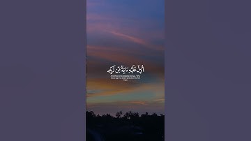 القرآن الكريم راحة نفسية ♥️🌿