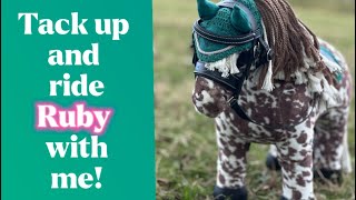 TACK UP AND RIDE RUBY WITH ME || Lemieuxponies4ever