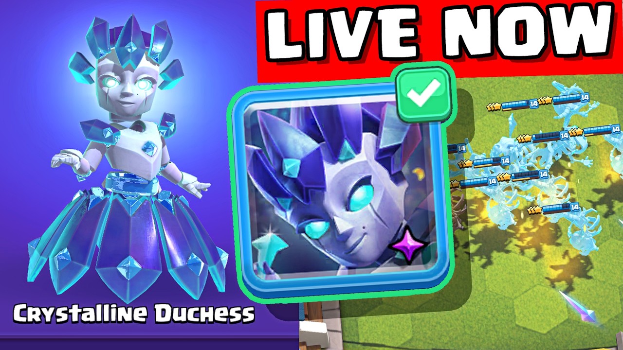 New Merge Tactics Update in CLASH ROYALE! Dagger Duchess