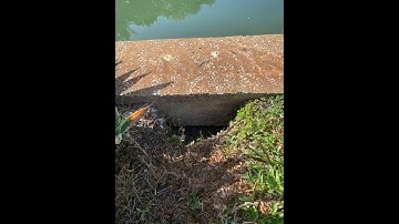 Potholes & Voids Behind Your Seawall