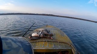 Охота на гусей и уток. Совет бывалых. Как не потерять добытого гуся.