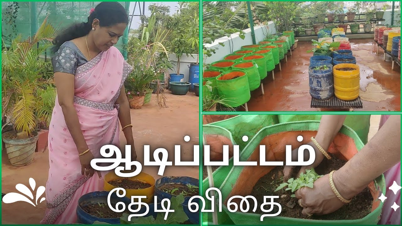 ஆடிப்பட்டம் தேடி விதை |மாடி தோட்டத்தில் நாட்டு காய்கறி விதை விதைப்பு