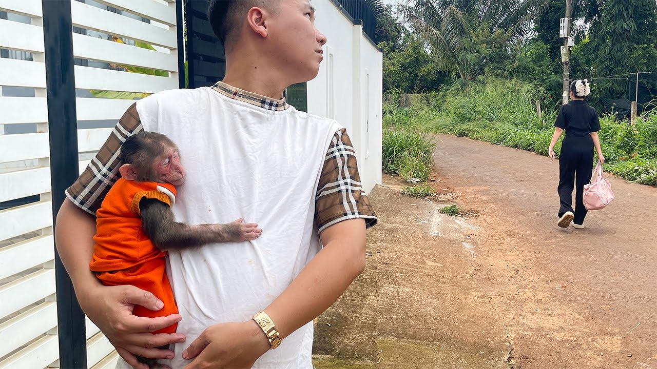 The Emotional Moment Aunt Leaves Monkey Cubis Without Waking Him