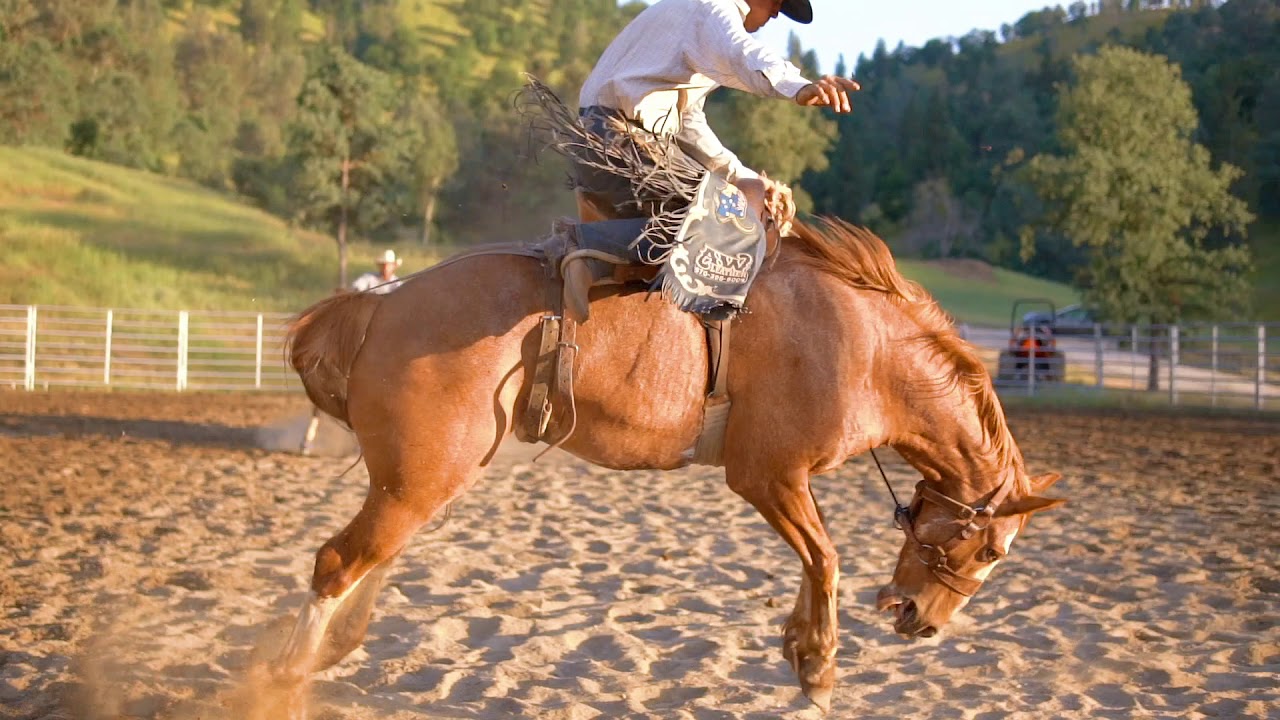 Slow Motion Bronc Rides Wade Bowen on 716 Dirt Road Princess YouTube