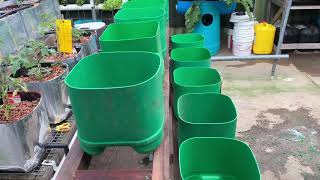 Hydroponic dutch bucket system from recycled materials.