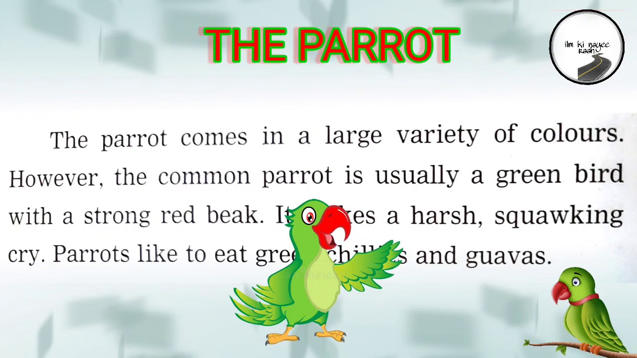 essay on parrot for class 2