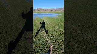 Water footdrag, landing, and takeoff #paramotor