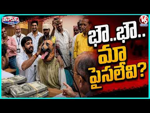 Stray Dog Menace Sparks Unique Protest in MP as Man Wears Dog Mask at Collectorate | V6 Teenmaar - V6NEWSTELUGU