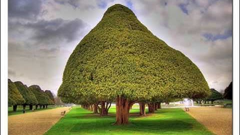 Scrumping With Gerald