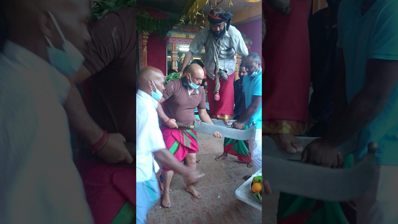 Fête goulou à la petite France le Guillaume 97423🙏