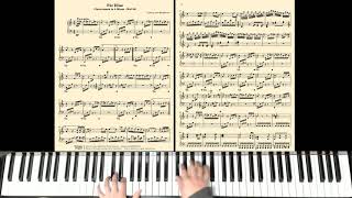 Bagatelle No  25 in A Minor Fur Elise, WoO 59 Beethoven Slow Play Along with Counting
