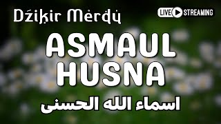 ASMAUL HUSNA MERDU اسماء الله الحسنی ❤ DZIKIR 99 NAMA ALLAH DENGAN SUARA YANG INDAH