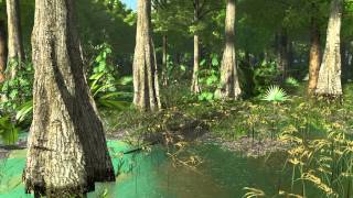 Cretaceous Swamp: Boulder, Colorado, 68 Million Years Ago