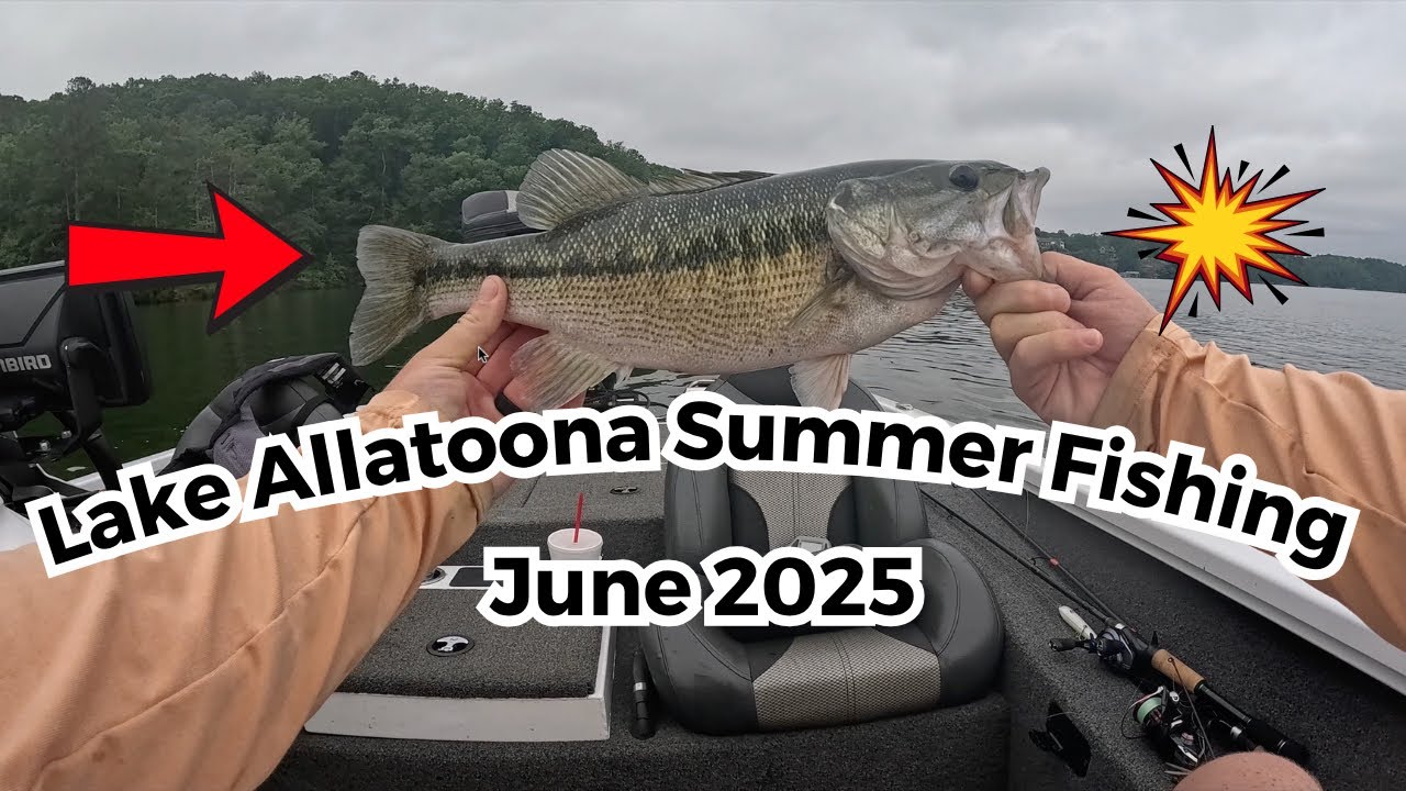Lake Allatoona Summer Bass Fishing 2025