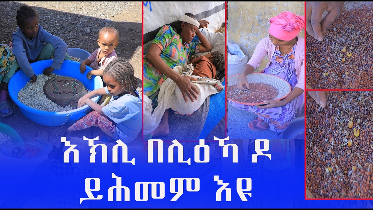 እኽሊ በሊልዕና ከይንጥዕይ ንሓምም ተን ንርድአን እኽሊ ከይንመውት ንሰን ይሃልዋ ከይንጥዕይ ውን ንሰን እነዋ
