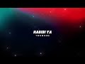 Mohammed Fouad - Habibi Ya (TwoMood Afro House Remix) | محمد فؤاد ... حبيبي يا(ريمكس)