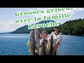 Grosses  truites grises avec la famille laroche au lac memphrmagog pchepeche truitegrise