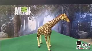 鐵雄電刷車 Mojo fun 動物模型 387006-長頸鹿
