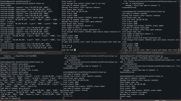 Group 11 CSE 434 Socket Project