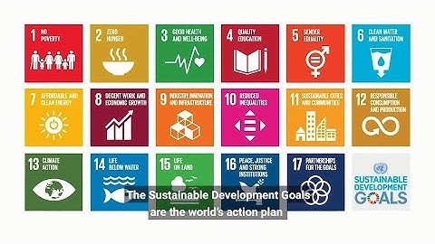 UN Chief on Decade of Action for the Sustainable Development Goals