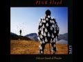 Pink Floyd - Sorrow (Live)