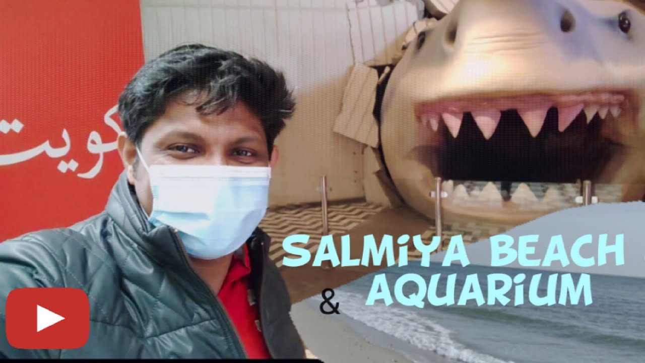 Salmiya Beach 🌊 & Aquarium Salmiya Kuwait YouTube