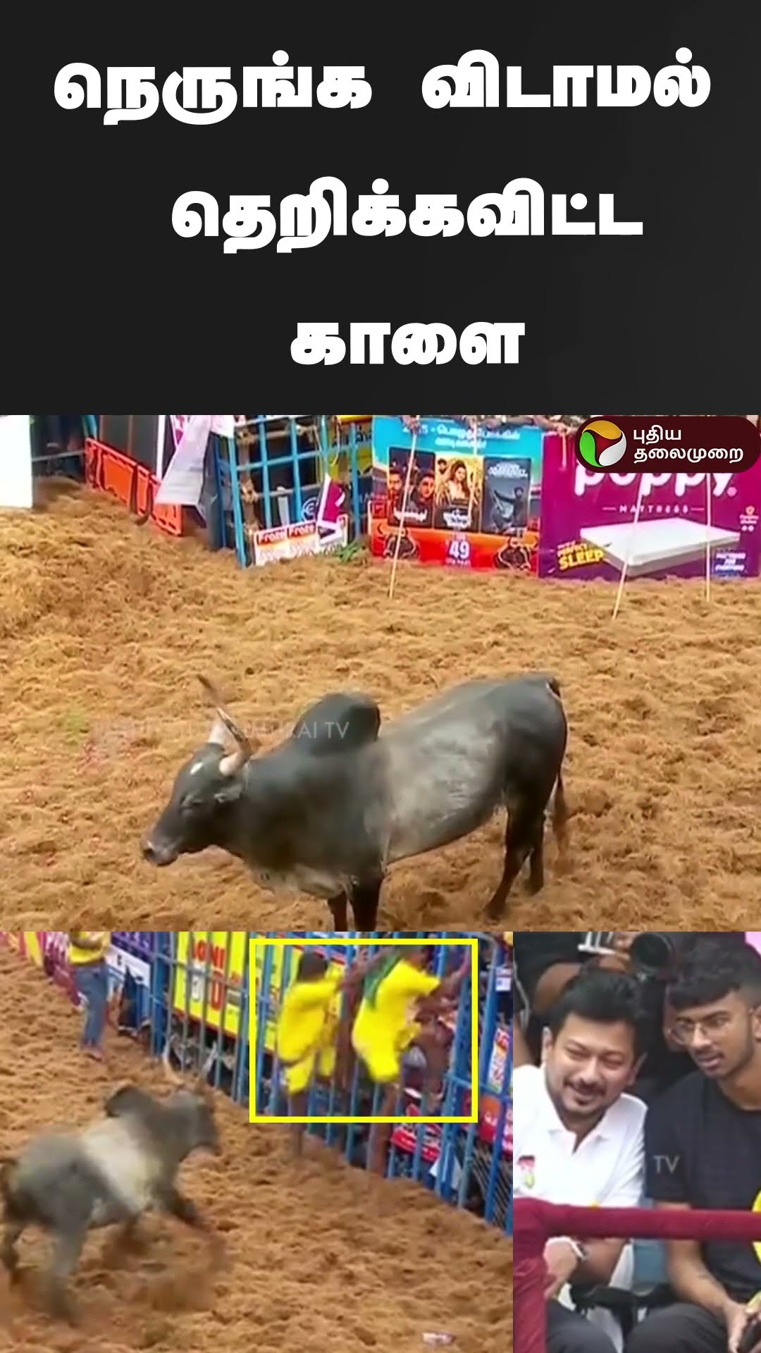 நெருங்க விடாமல் தெறிக்கவிட்ட காளை | #shorts | #madurai | #jallikattu2025