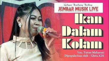 IKAN DALAM KOLAM - TUTUN MAHARANI II JEMBAR MUSIK LIVE II LAMARANTARUNG  BLOK ASJON KEC. CANTIGI
