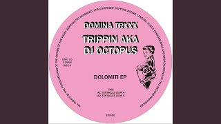 Information Tentacles Loop 5 (Original Mix) Guide
