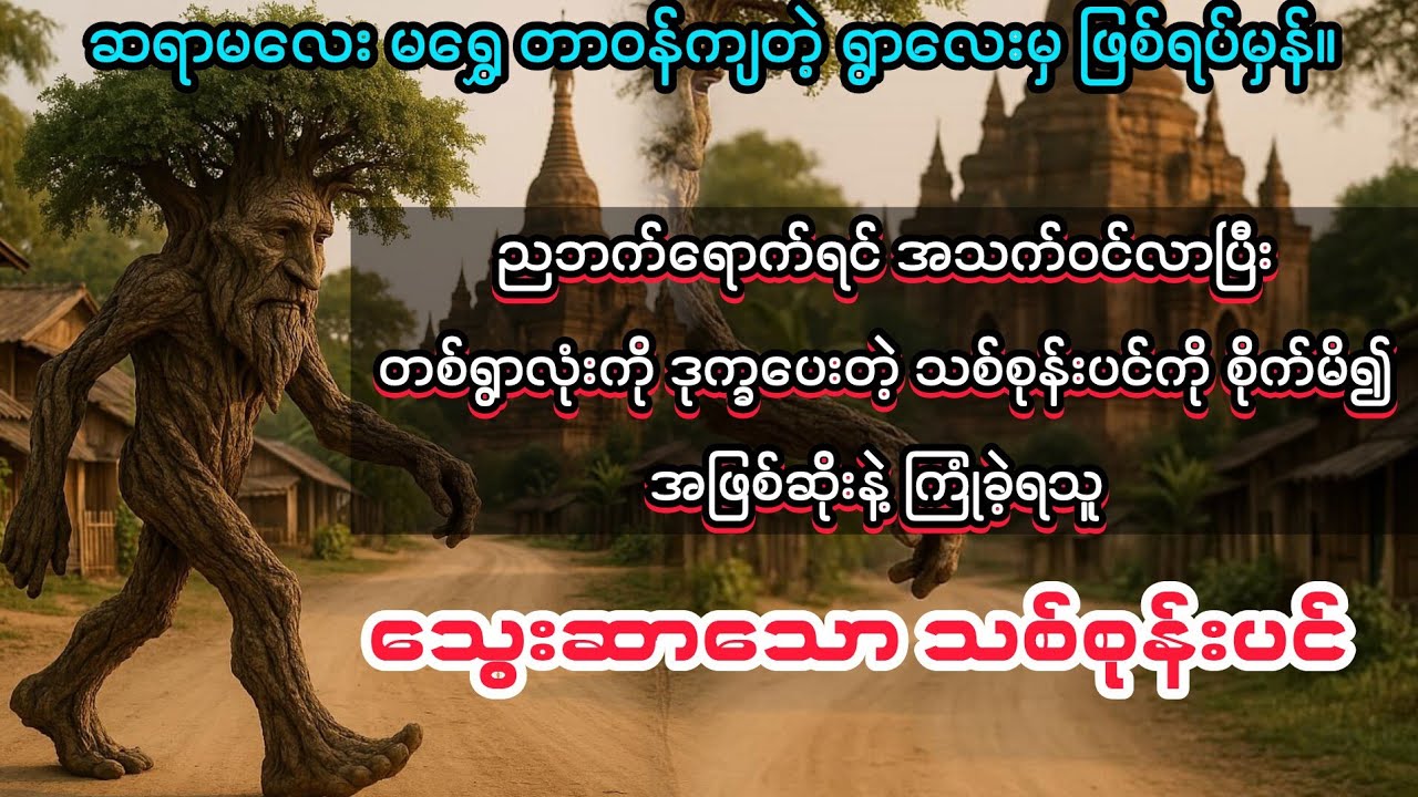 (သွေးဆာနေသော သစ်စုန်းပင်) #ဆရာမလေးမရွှေ #မင်းသားကြီး #minthargyi 