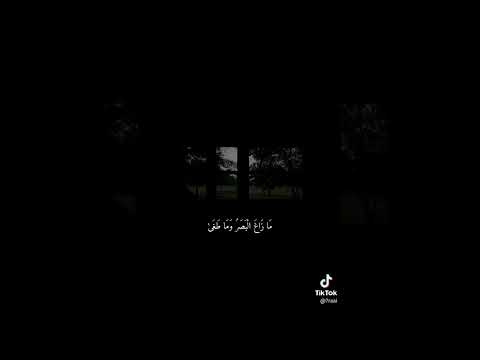 ما زاغ البصر وما طغى 