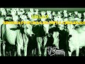 LEILAO DO SINDICATO RURAL DE NOVA CRIXAS-GO