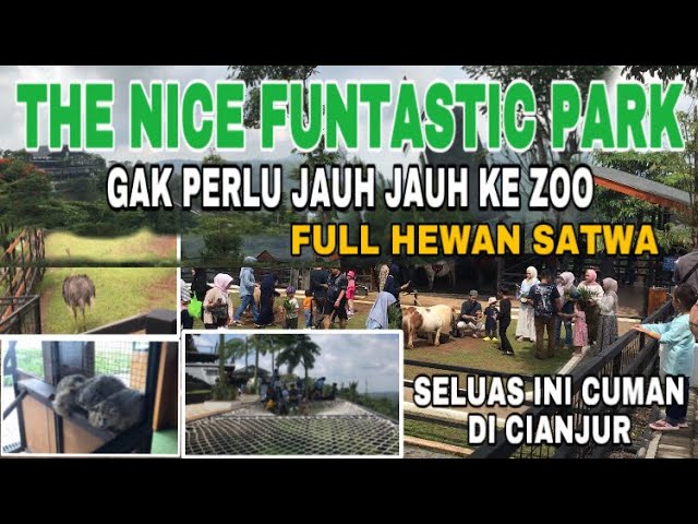 WISATA THE NICE FUNTASTIC PARK CIANJUR FULL WAHANA DAN SATWA TERBARU class=