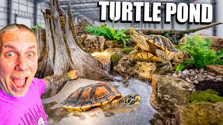 Building A Huge Turtle Pond For My Aquarium!