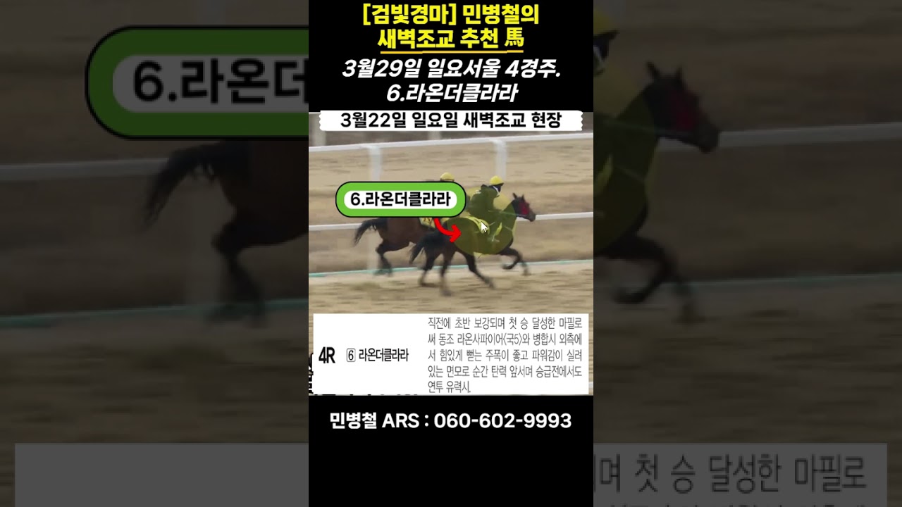 #3월29일 일요일!민병철의 새벽조교 우수馬!
