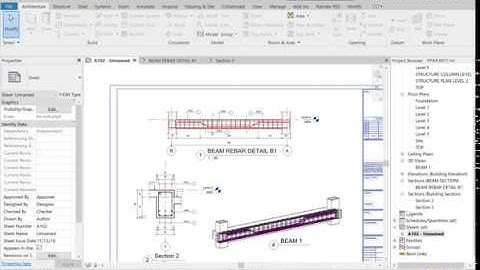 Hide Scale Section In Revit