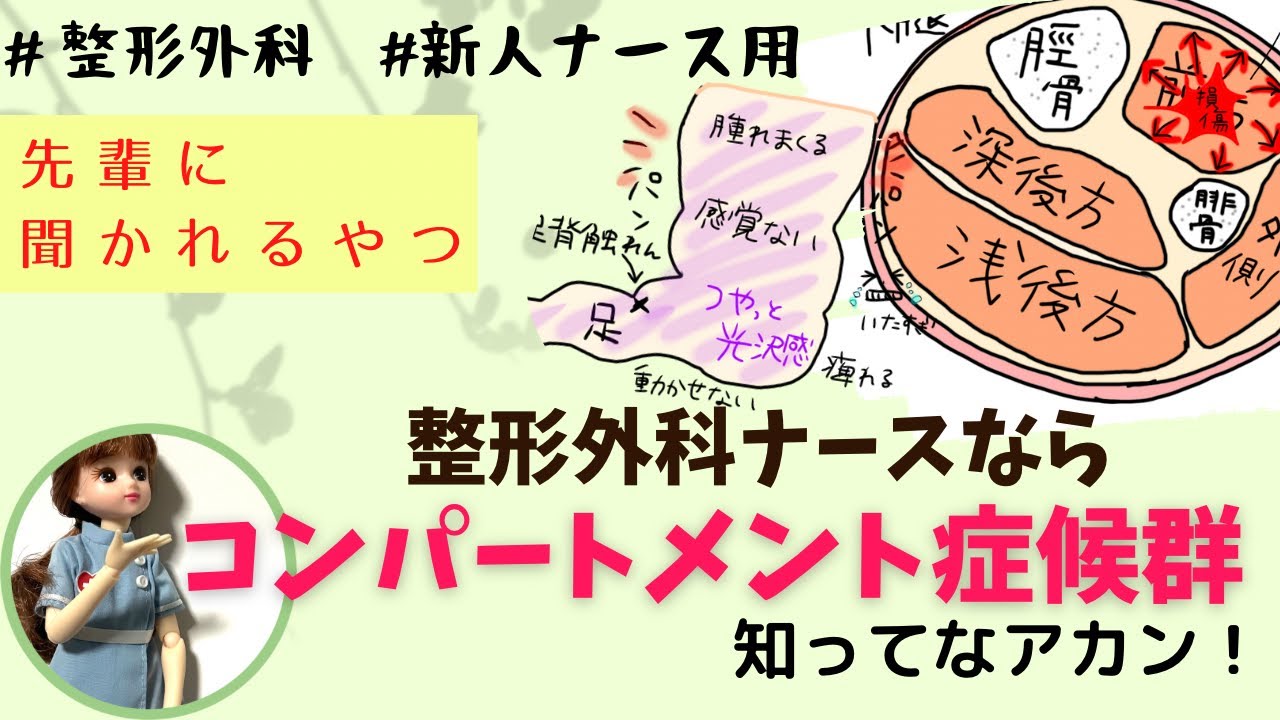 『コンパートメント症候群』整形外科ナースなら知っとくほうが◎#新人ナース#勉強#看護師