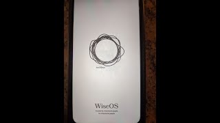 Wise Phone review_November 2022 update