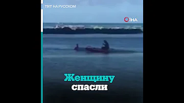 Тюлень напал на туристку на Гавайях